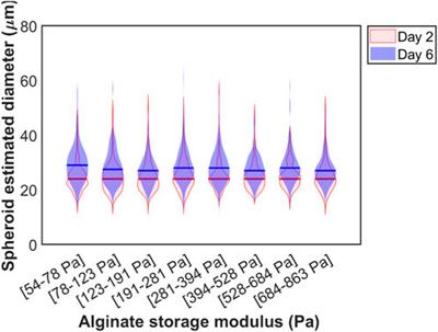 Deep learning-assisted concentration gradient generation for the study of 3D cell cultures in hydrogel beads of varying stiffness